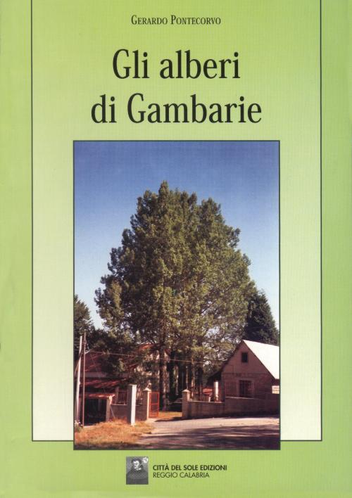 Gli alberi di Gambarie