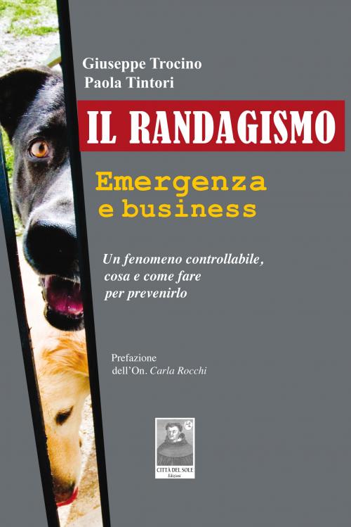 Il randagismo