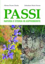 Passi